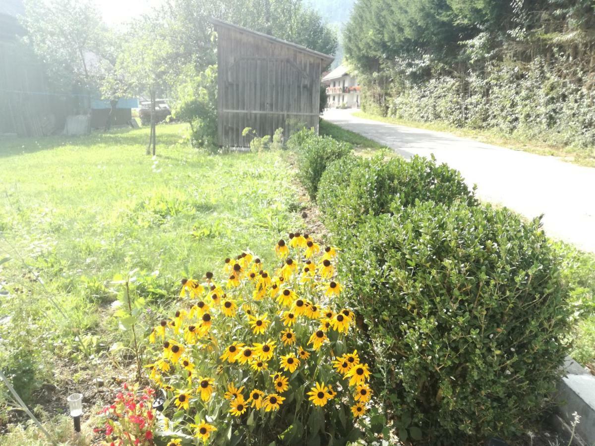 Apartment House Andrej Bohinj Exterior photo